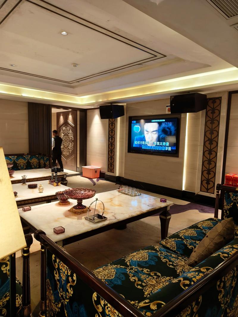 沧州商务ktv，了解商务ktv的含义-黄骅市ktv预订